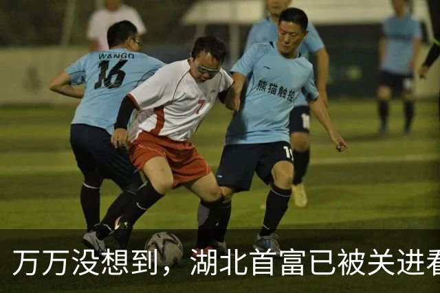 万万没想到，湖北首富已被关进看守所，涉案罪名简直让人大跌眼镜